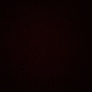 Meet your Posher, Lia